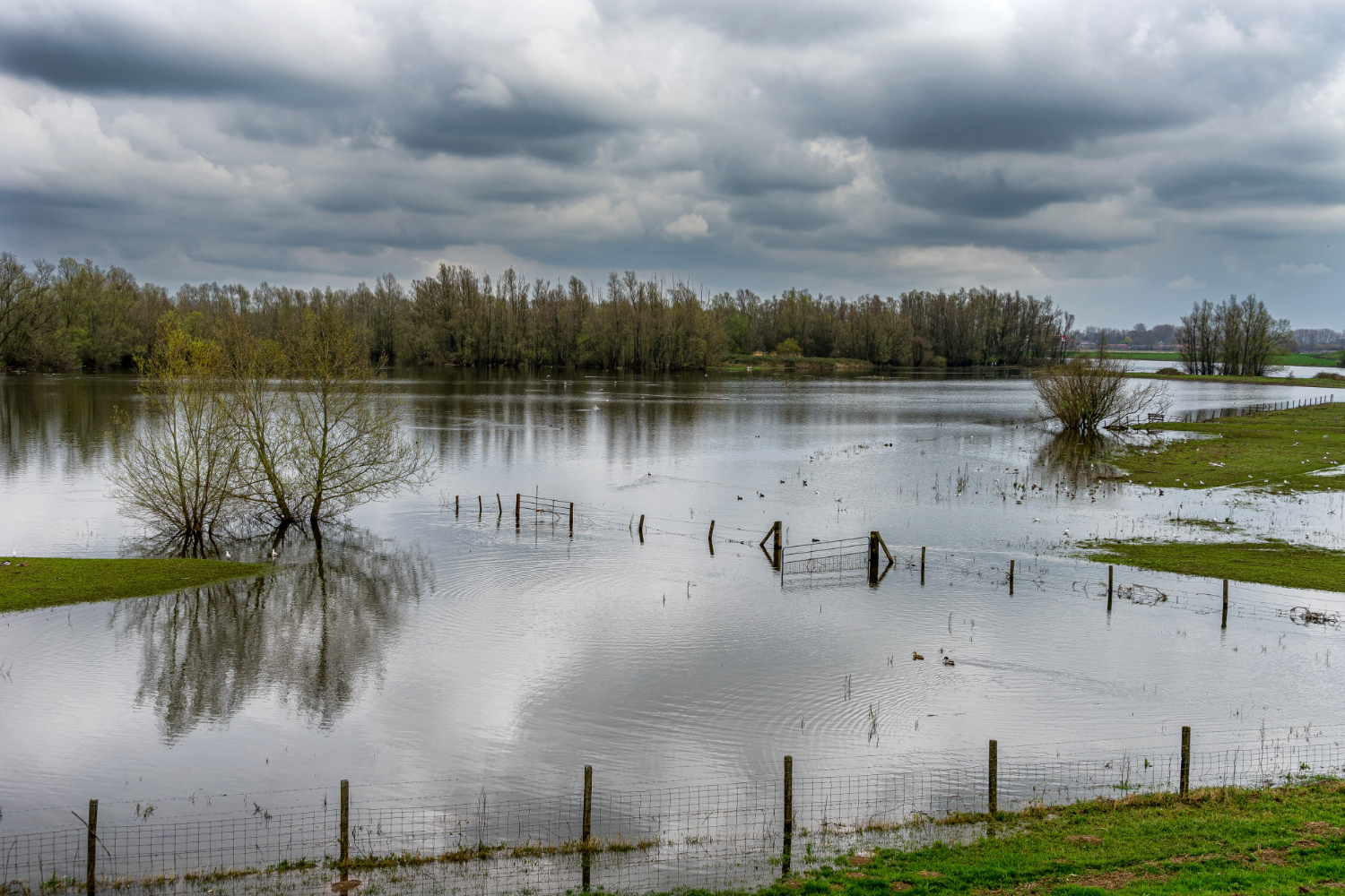 Location déshumidificateur dégât des eaux